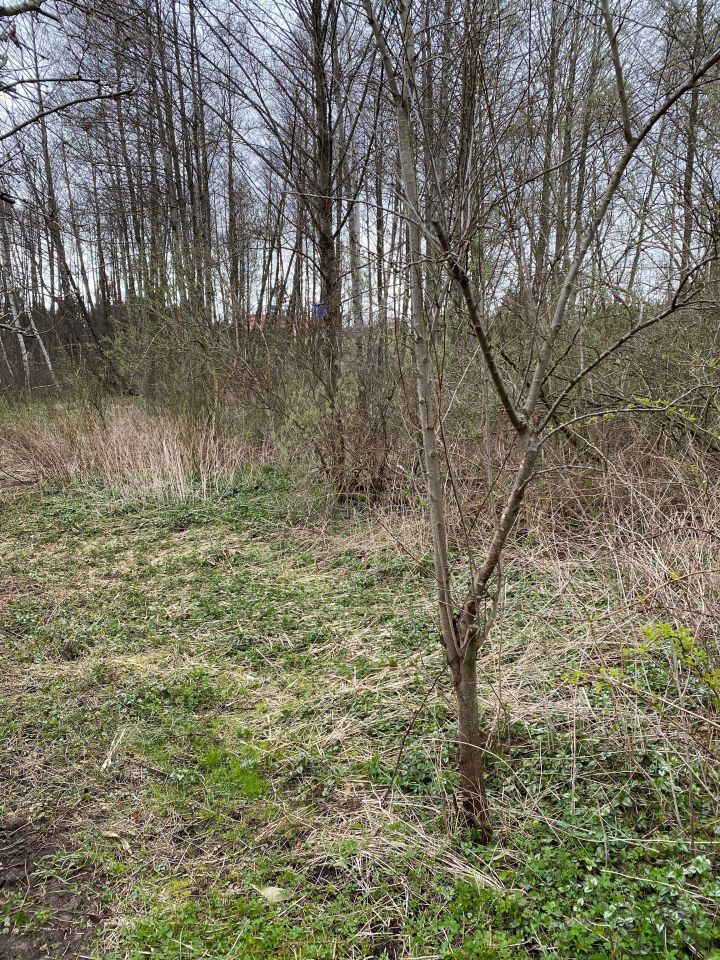 Działka rekreacyjna Cerkiewnik. Zdjęcie 2