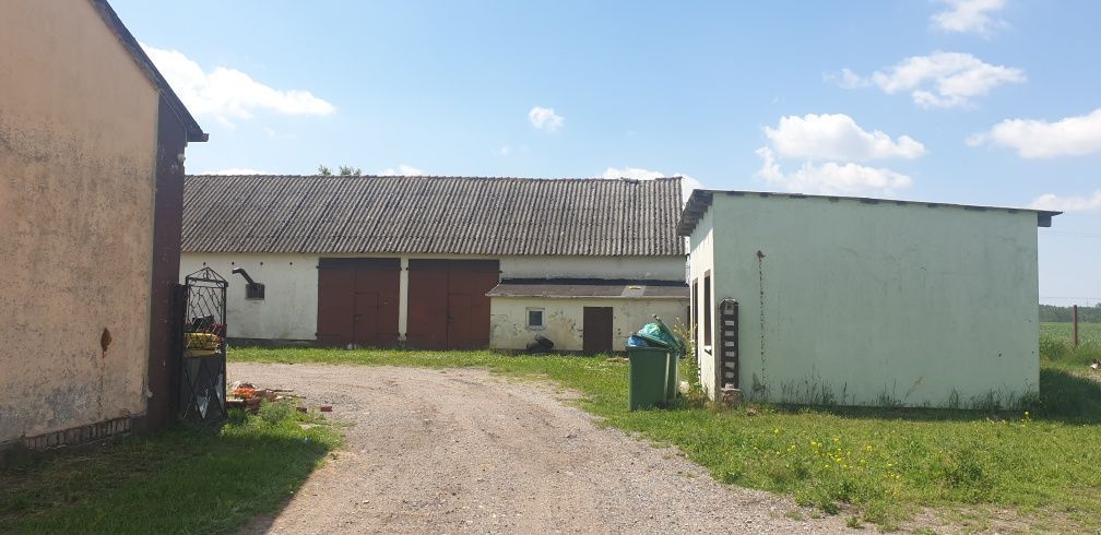 Hala/magazyn Kaźmierzewo. Zdjęcie 1