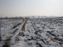 Działka budowlana Rudzica. Zdjęcie 4