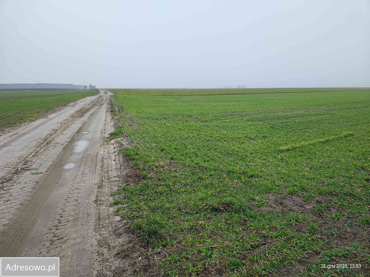 Działka rolna Nowy Lubosz. Zdjęcie 5