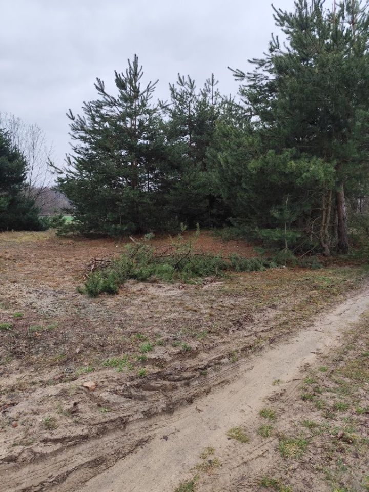 Działka budowlana Ocieka. Zdjęcie 3