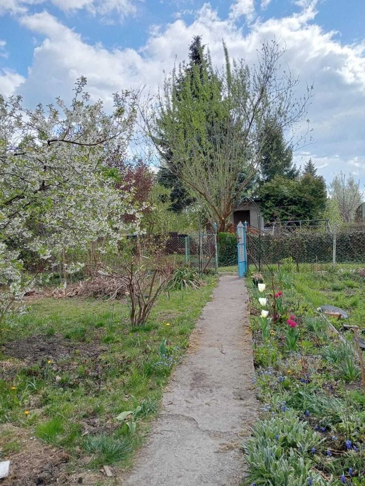 Działka rod Warszawa Zacisze, ul. Lewinowska. Zdjęcie 3