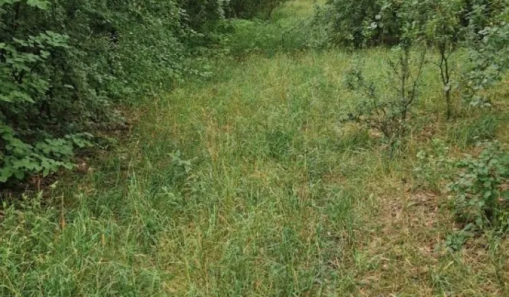 Działka inwestycyjna Wągrowiec