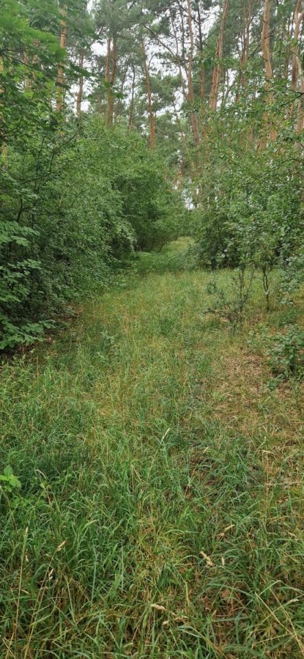 Działka inwestycyjna Wągrowiec. Zdjęcie 1