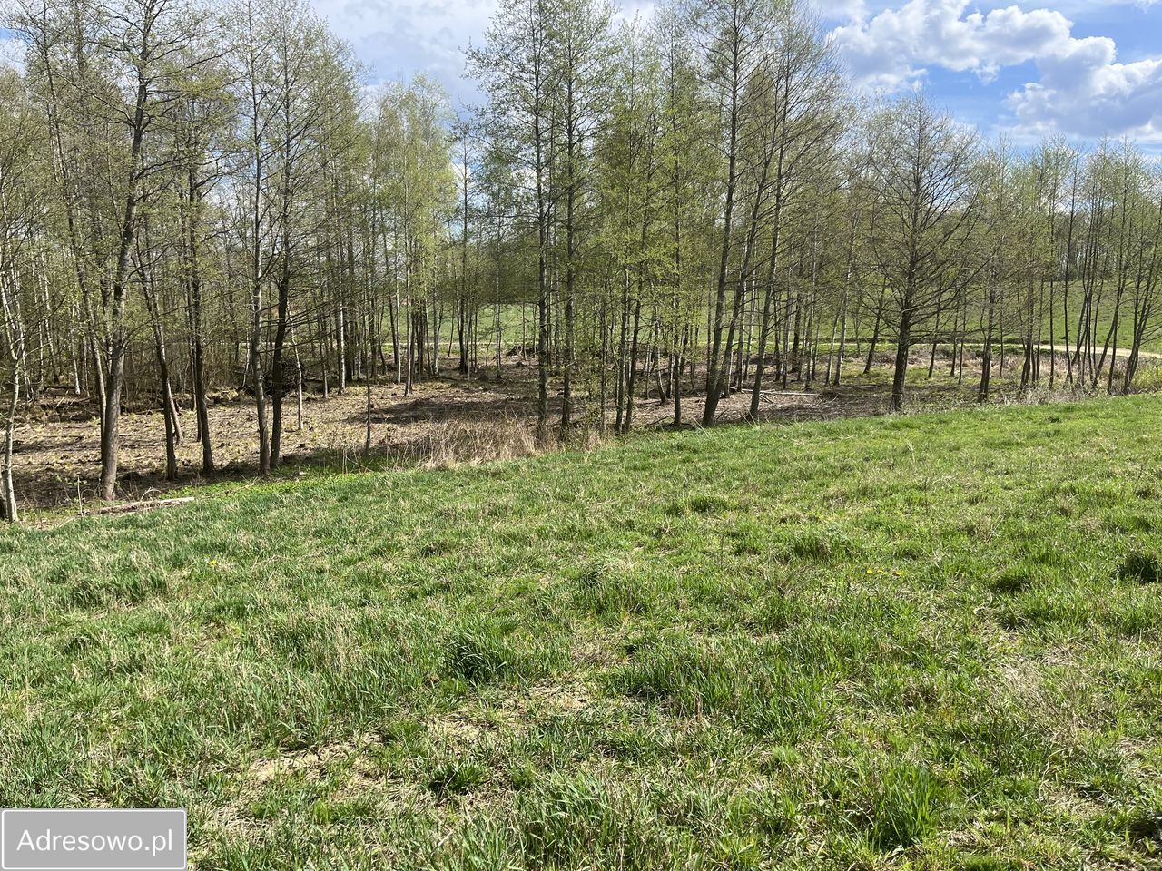 Działka Grzegrzółki. Zdjęcie 7