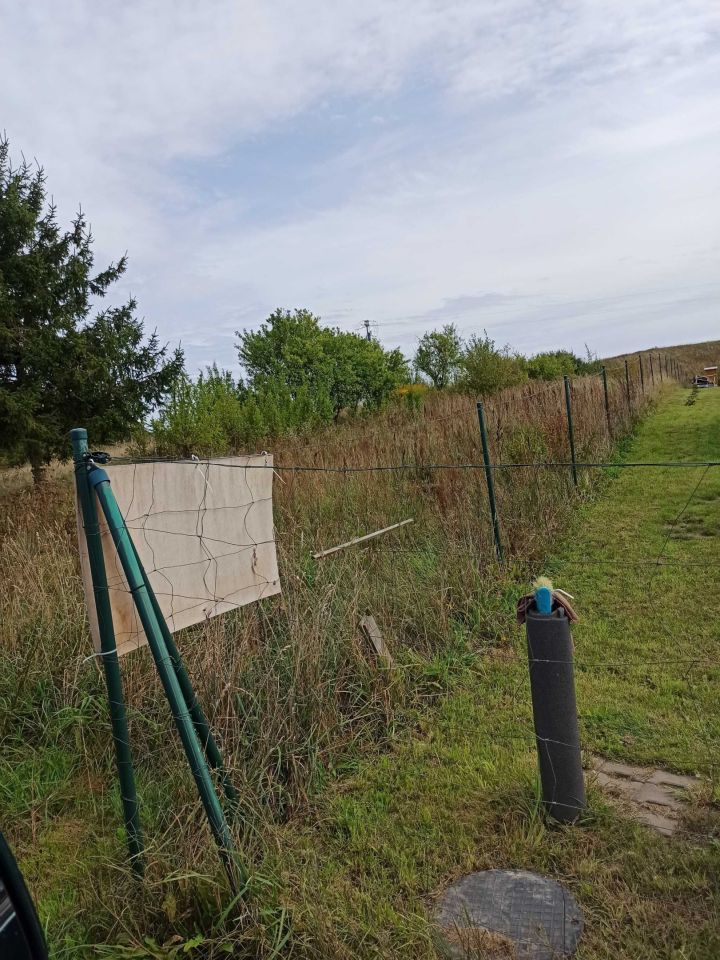 Działka rolno-budowlana Skotniki. Zdjęcie 2