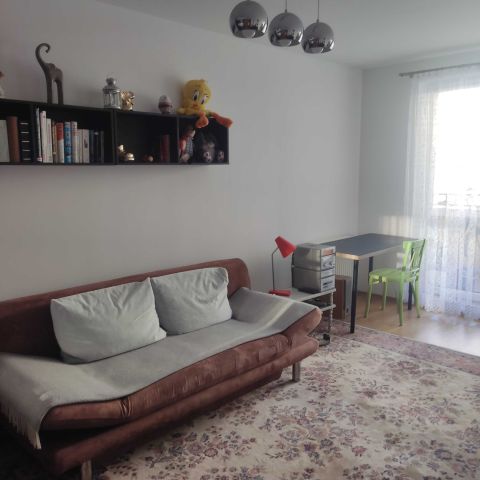 Mieszkanie 1-pokojowe Wrocław Psie Pole, ul. Litewska. Zdjęcie 1