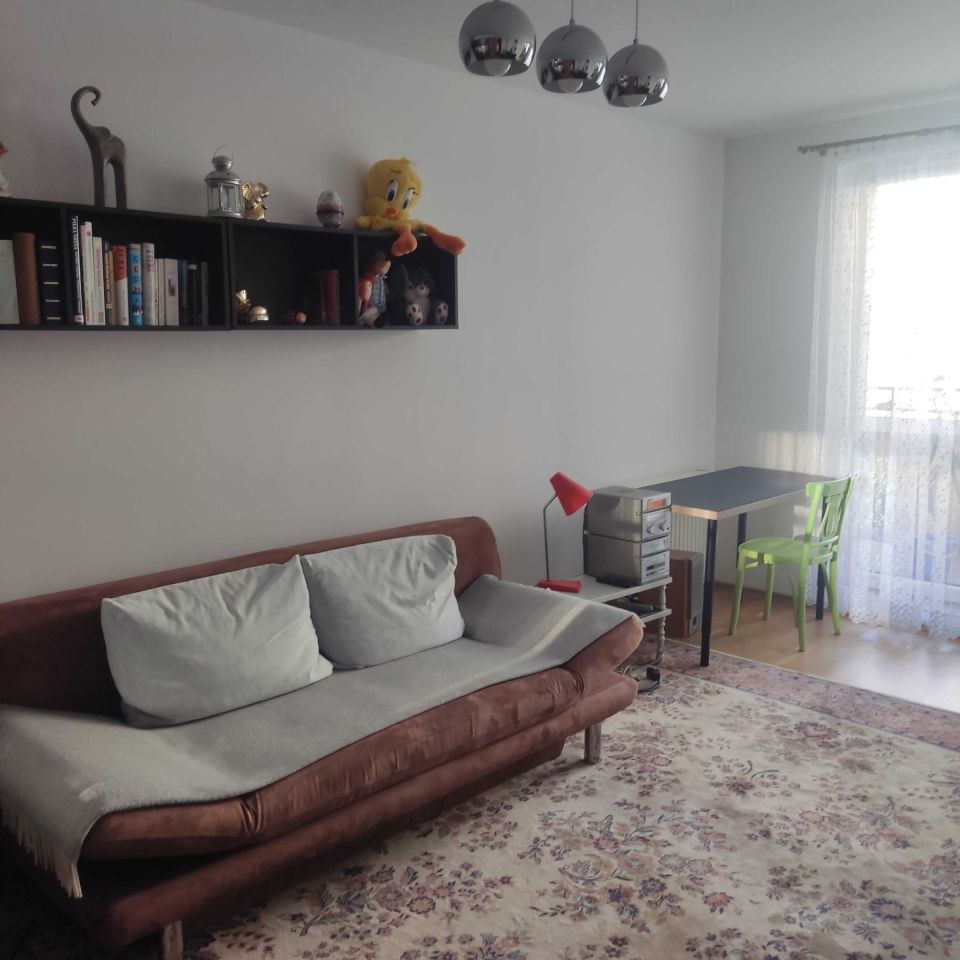 Mieszkanie 1-pokojowe Wrocław Psie Pole, ul. Litewska