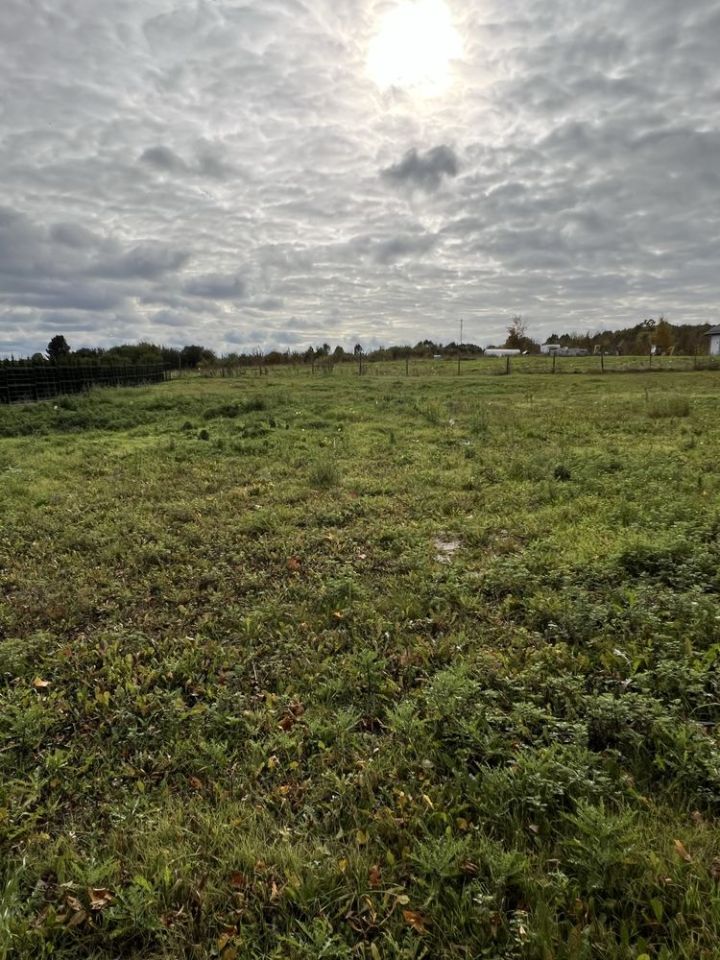 Działka budowlana Gołębiewo Wielkie. Zdjęcie 2