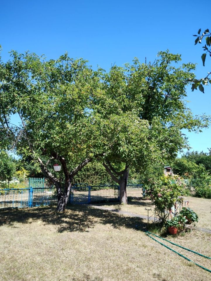 Działka rod Żary. Zdjęcie 2