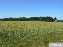 Działka rolna Mysłowice. Zdjęcie 3