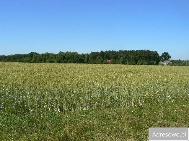 Działka rolna Mysłowice. Zdjęcie 4