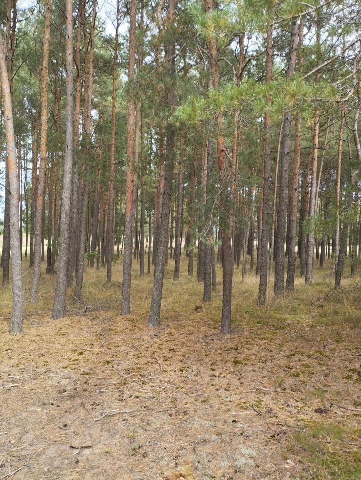 Zdjęcie 6
