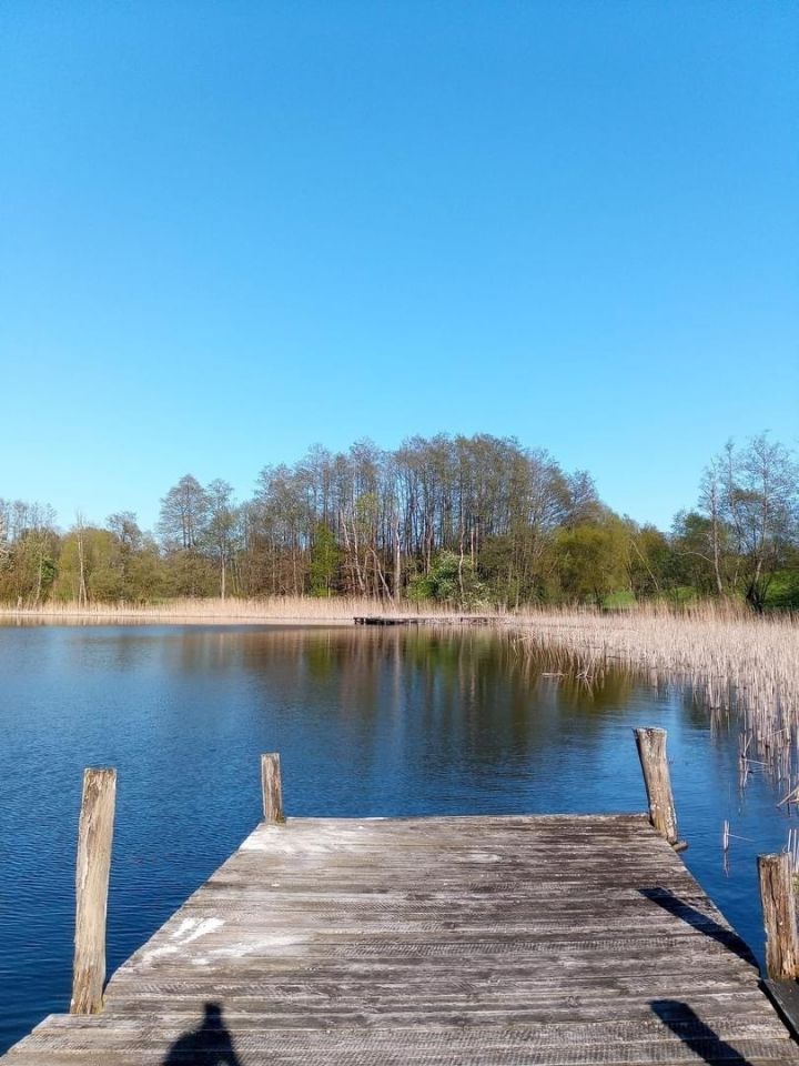 Działka rolna Donatowo. Zdjęcie 6