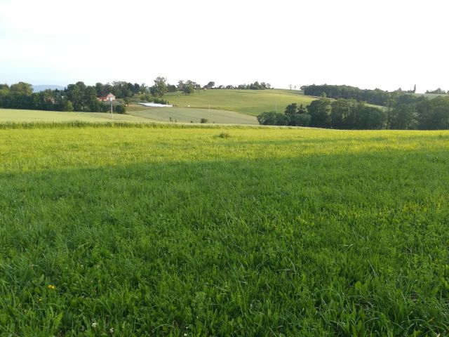 Działka budowlana Gumna. Zdjęcie 1