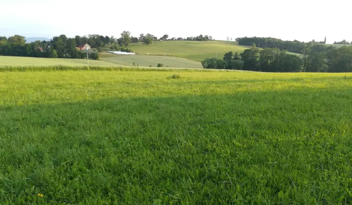 Działka budowlana Gumna