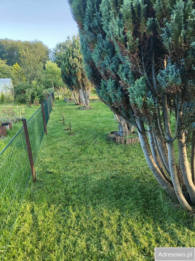 Działka rod Gdynia, ul. Hutnicza. Zdjęcie 4
