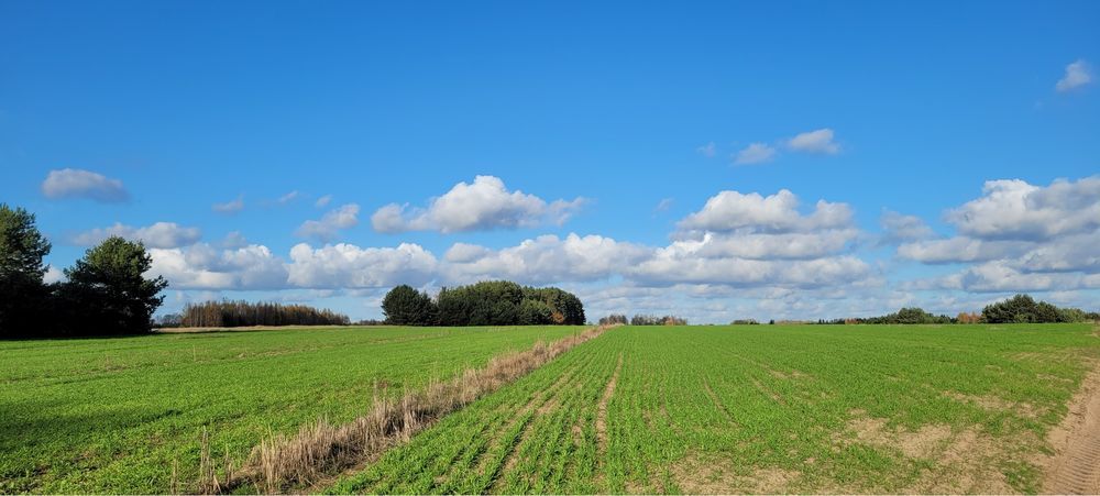 Działka budowlana Ostrowy. Zdjęcie 4