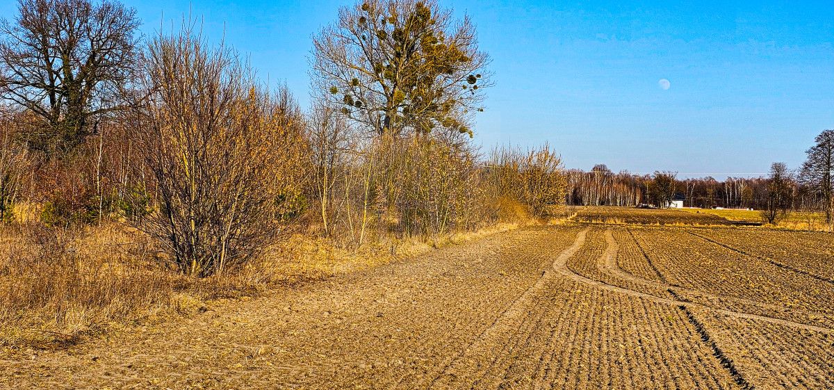 Działka inwestycyjna Grądy, ul. 3 Maja. Zdjęcie 1