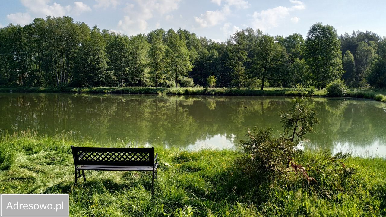 Działka siedliskowa Roszkowo Roszkówko. Zdjęcie 10