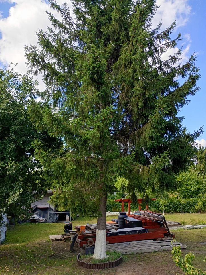 Działka rod Warszawa Mokotów, ul. Idzikowskiego. Zdjęcie 4