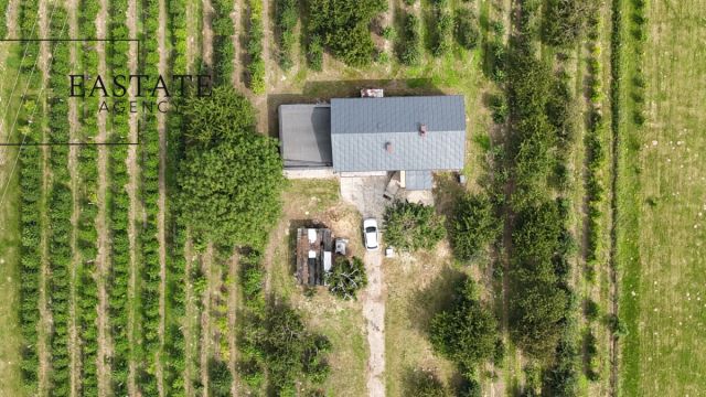 dom wolnostojący, 4 pokoje Świdno. Zdjęcie 24