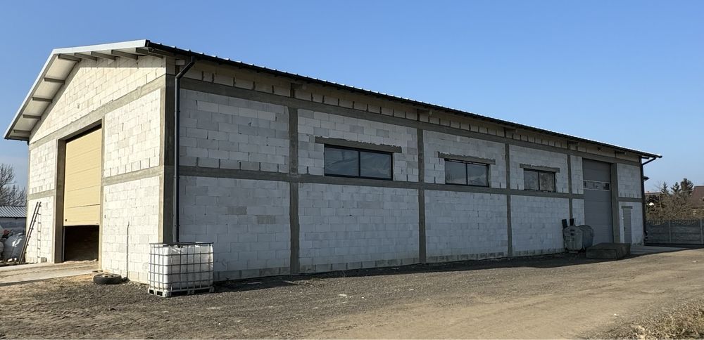 Hala/magazyn Zielona. Zdjęcie 2