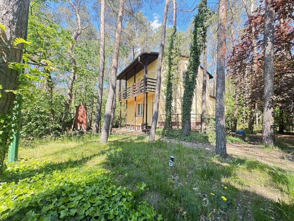 dom wolnostojący, 4 pokoje Ostrowsko. Zdjęcie 4