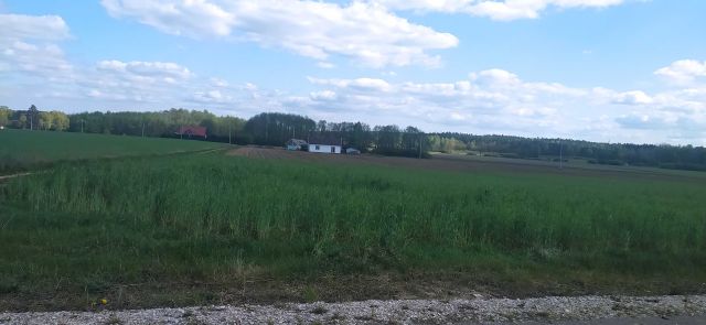 Działka budowlana Grzybowo. Zdjęcie 1