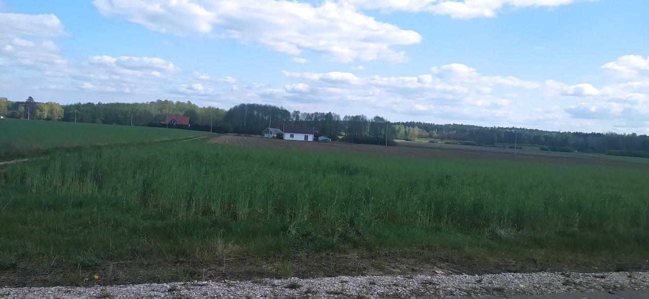 Działka budowlana Grzybowo