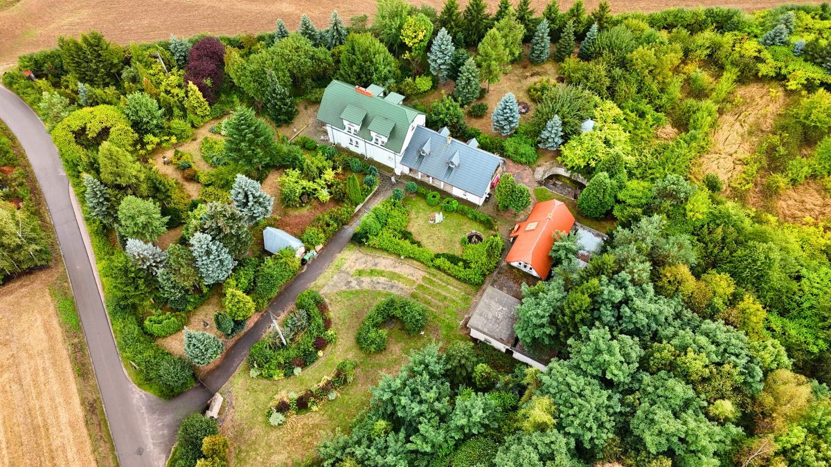 Działka rolna Zochcinek. Zdjęcie 10