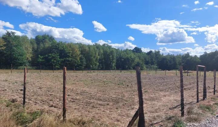 Działka budowlana Góra Motyczna