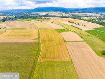 Działka rolna Stary Waliszów. Zdjęcie 3