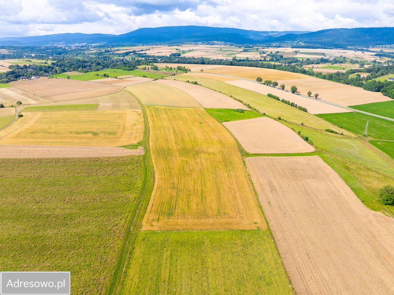 Działka rolna Stary Waliszów. Zdjęcie 4