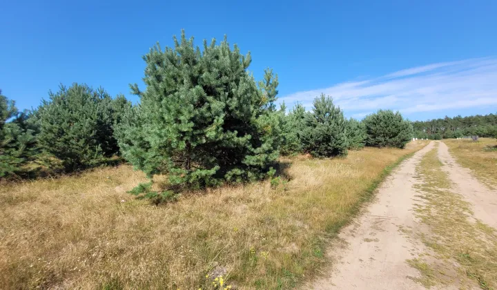 Działka budowlana Płociczno, Zakątek