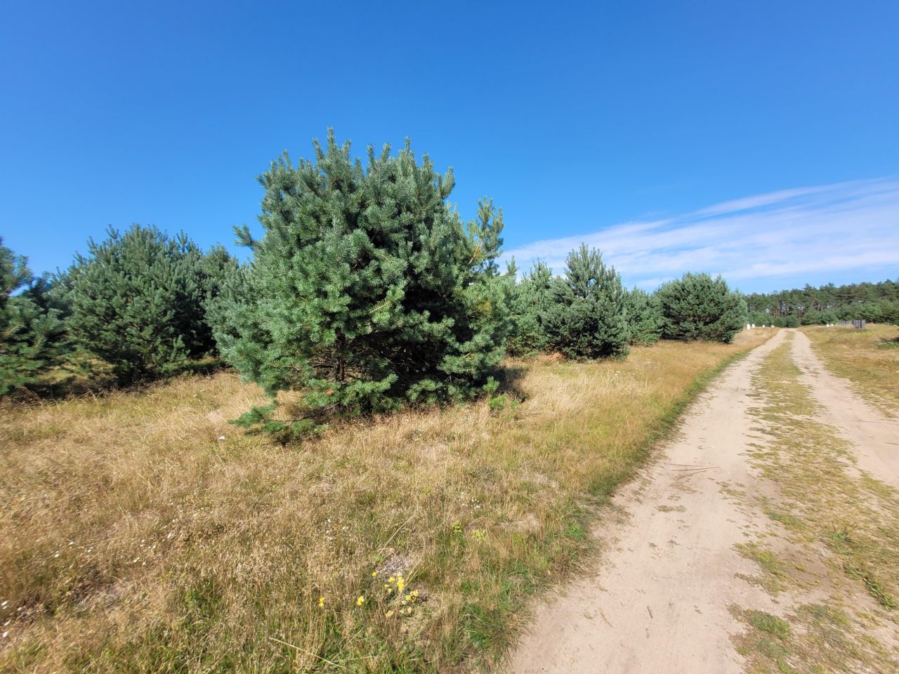 Działka budowlana Płociczno, Zakątek. Zdjęcie 1