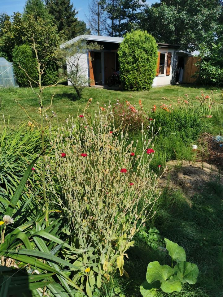 Działka rekreacyjna Lubliniec