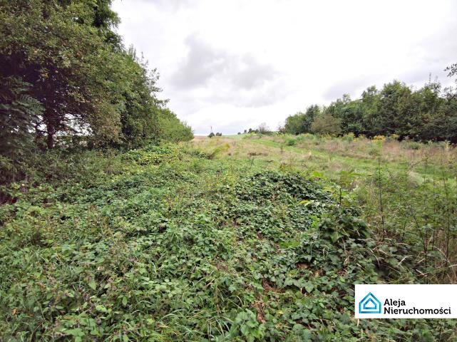 dom wolnostojący, 2 pokoje Ogorzelnik. Zdjęcie 5