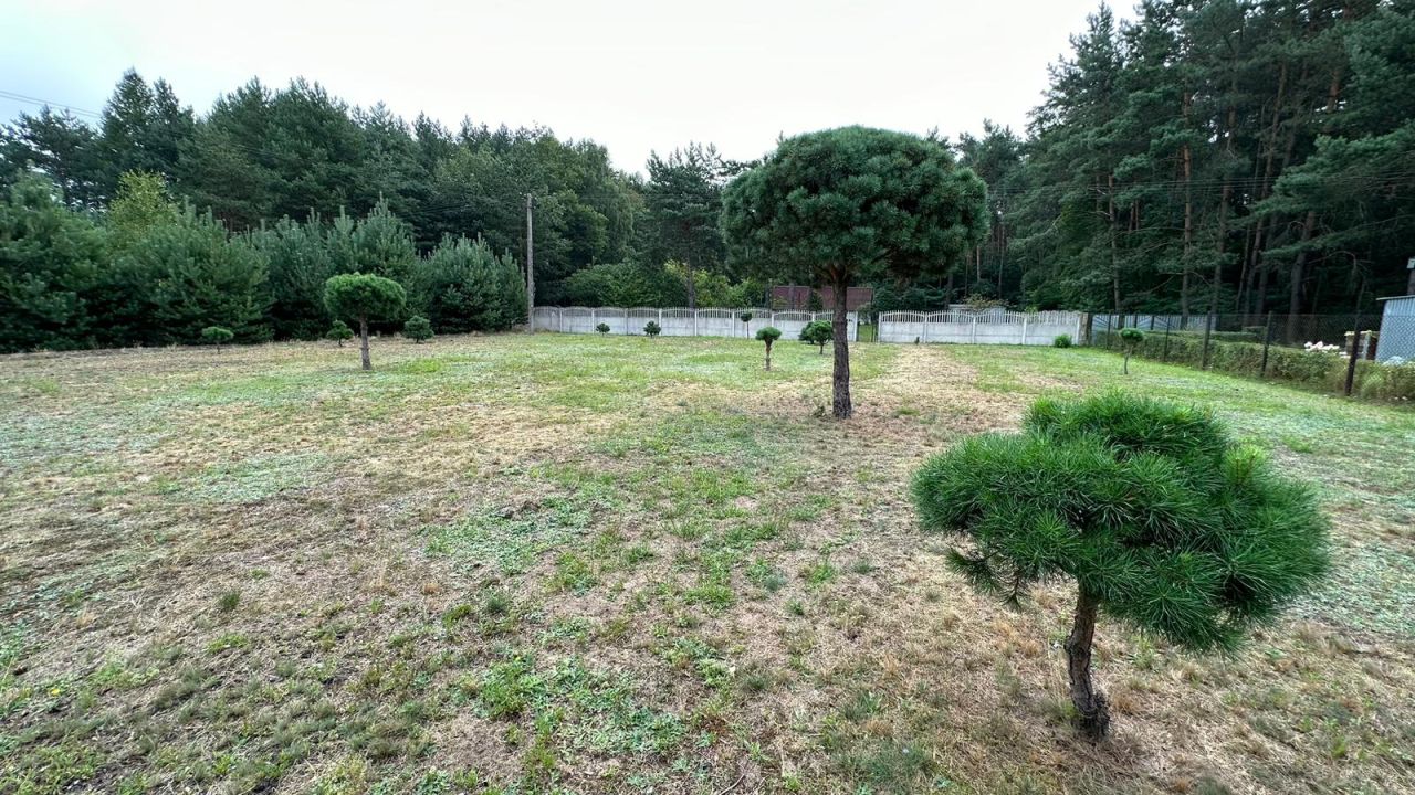 Działka budowlana Świerczyna. Zdjęcie 15