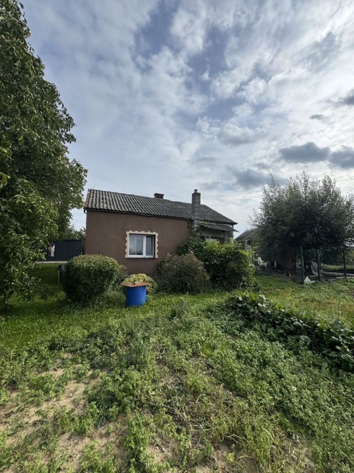 gospodarstwo Radomin. Zdjęcie 6