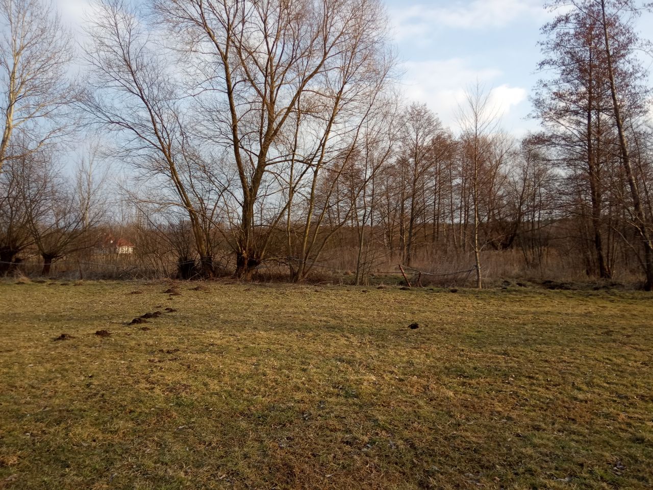 Działka rolno-budowlana Stare Polesie. Zdjęcie 4