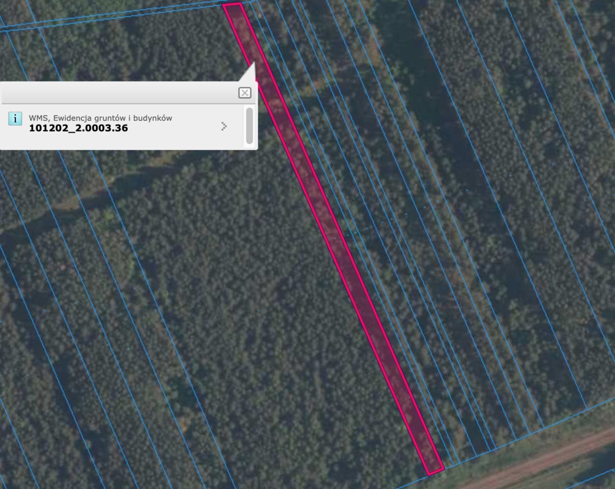 Działka leśna Borowiecko. Zdjęcie 2