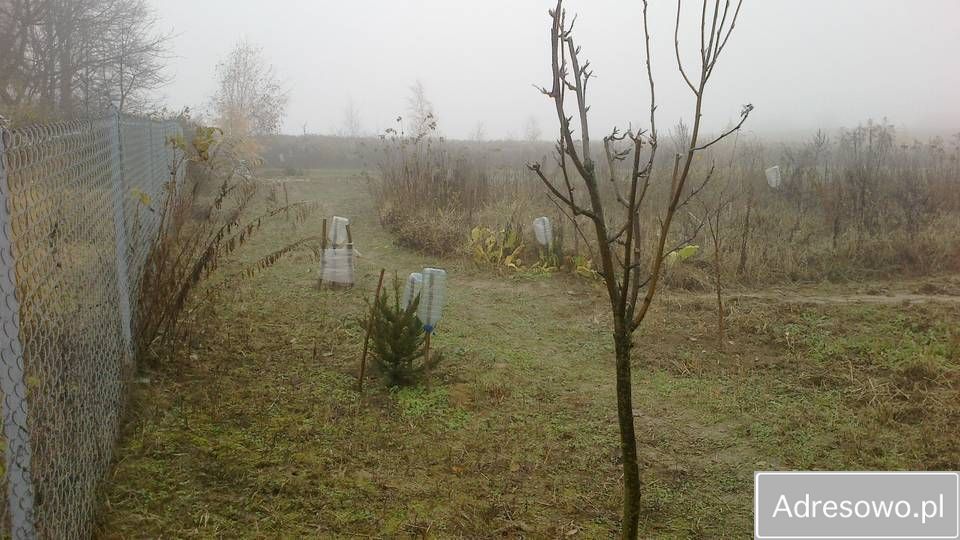 Działka budowlana Jakubowice Konińskie-Kolonia. Zdjęcie 3