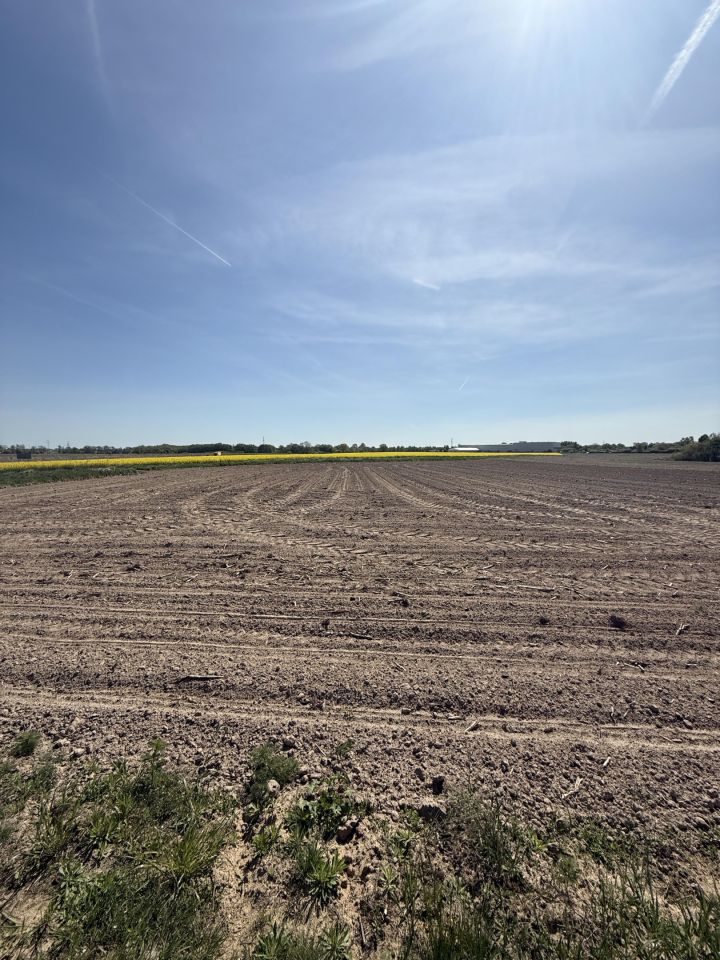 Działka inwestycyjna Oleśnica, ul. Strefowa. Zdjęcie 3