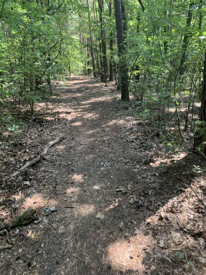 Działka budowlana Warszawa Radość, ul. Fromborska. Zdjęcie 4