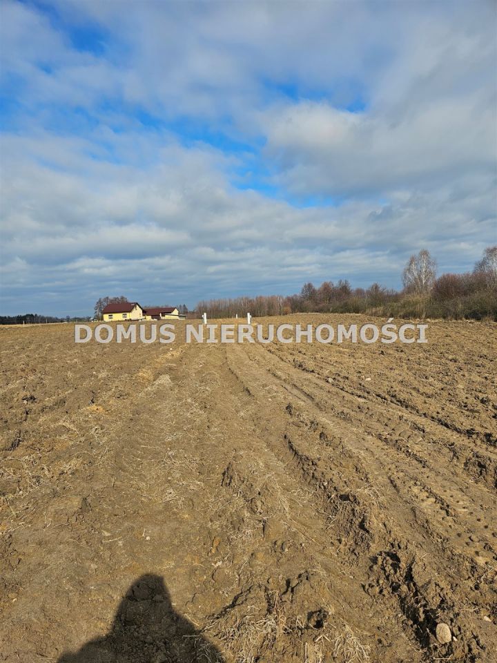 Działka budowlana Rozworzyn. Zdjęcie 5