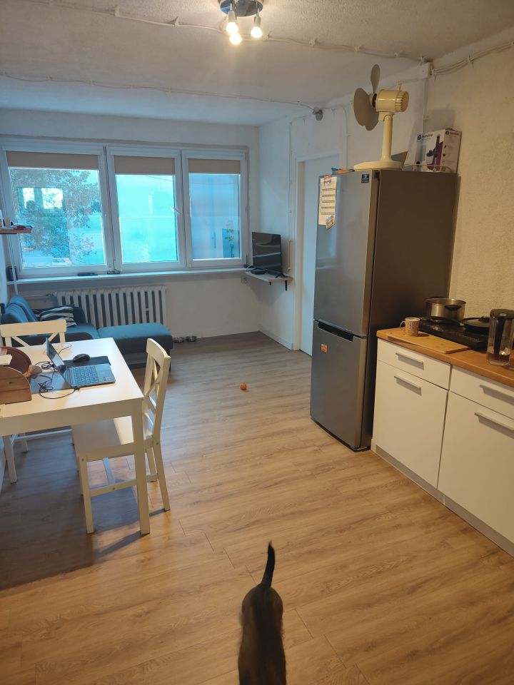 Mieszkanie 3-pokojowe Wrocław Gajowice, ul. Żelazna. Zdjęcie 2