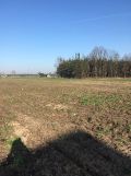 Działka budowlana Czajków, os. Słoneczne. Zdjęcie 4