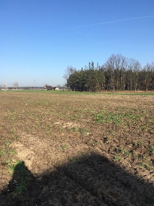 Działka budowlana Czajków, os. Słoneczne. Zdjęcie 5