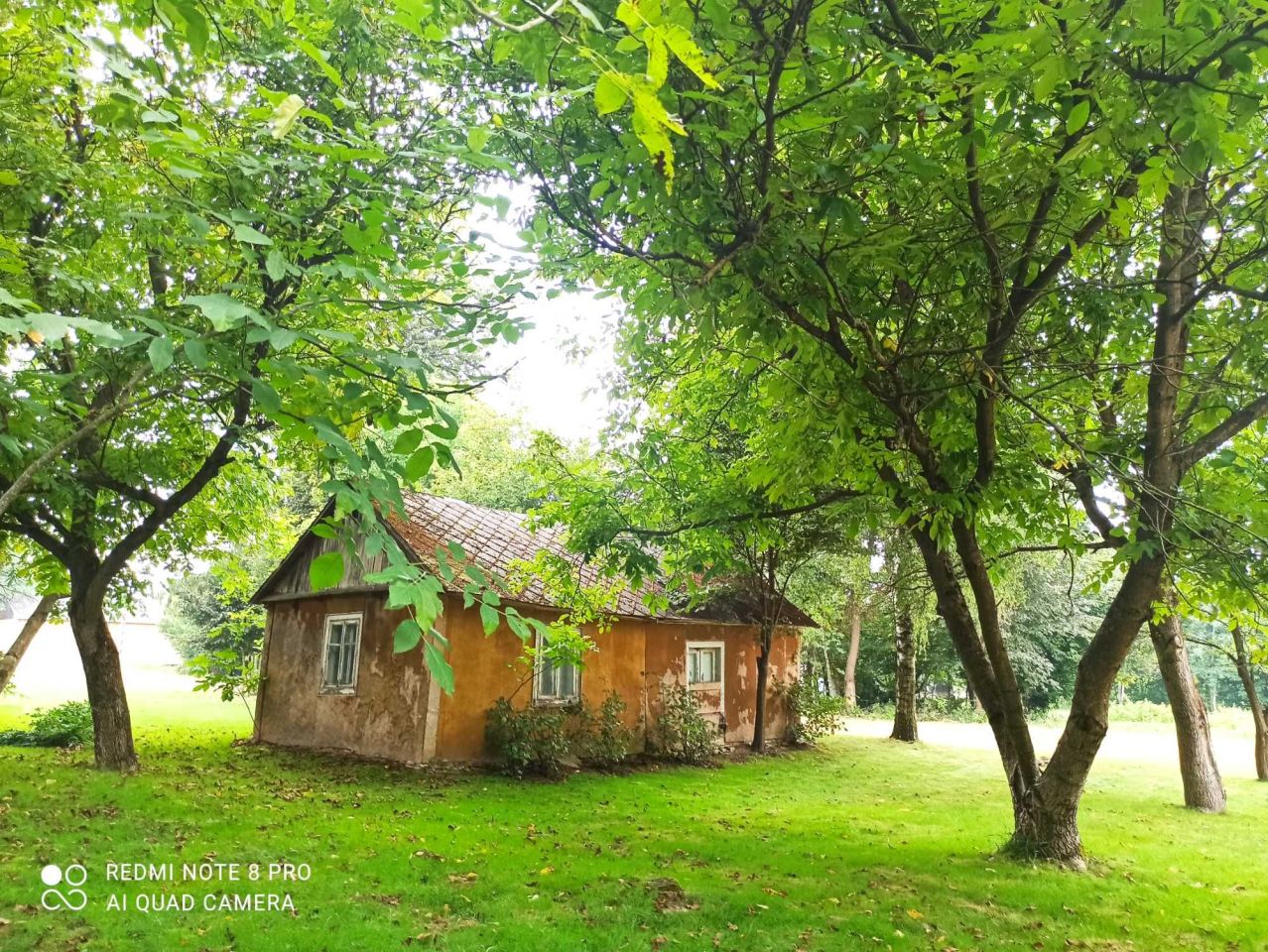 Działka siedliskowa Piotrków Drugi. Zdjęcie 5